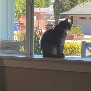 Meet your Posher, Andy